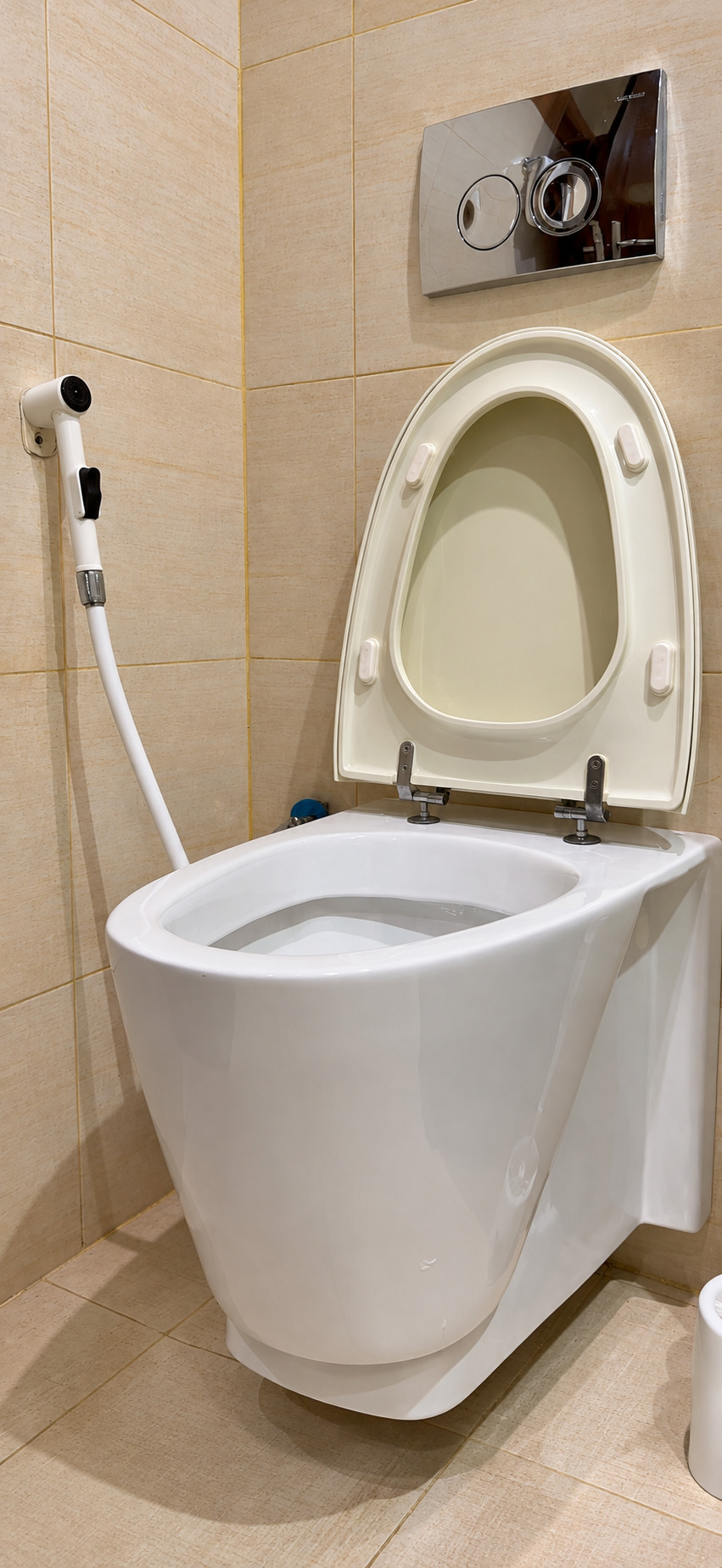 Dana Tower Hotel — Banyo tuvalet alanı