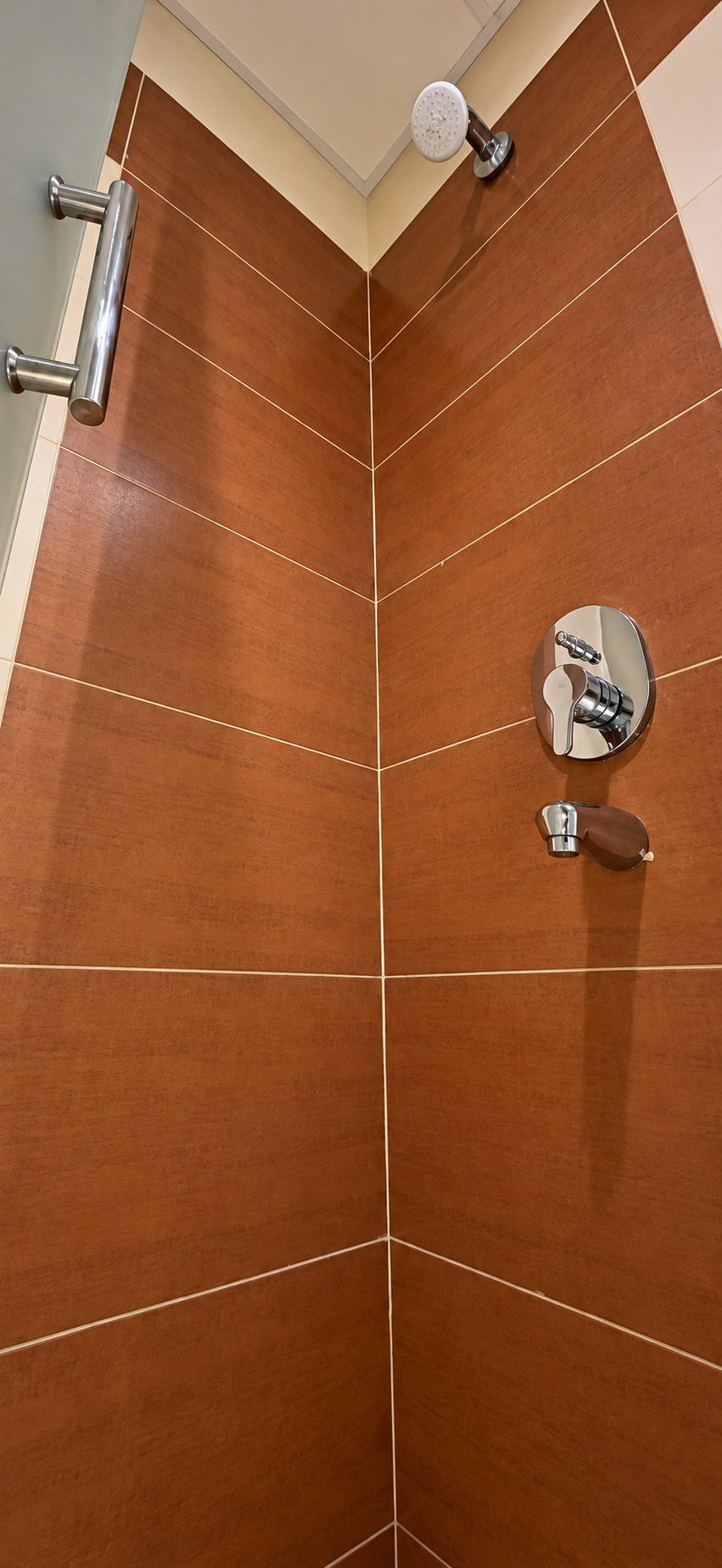 Dana Tower Hotel — Banyo duş alanı